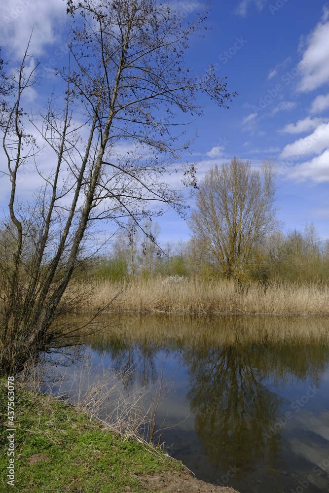 Sander Baggerseen im Naturschutzgebiet Mainaue bei Augsfeld, Landkreis Hassberge, Unterfranken, Franken, Bayern, Deutschland. Sander Baggerseen im Naturschutzgebiet Mainaue bei Augsfeld, Landkreis Hassberge, Unterfranken, Franken, Bayern, Deutschland.