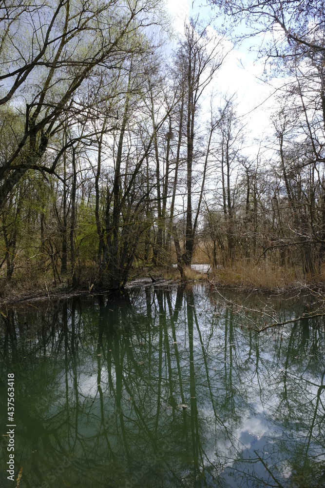 Sander Baggerseen im Naturschutzgebiet Mainaue bei Augsfeld, Landkreis Hassberge, Unterfranken, Franken, Bayern, Deutschland. Sander Baggerseen im Naturschutzgebiet Mainaue bei Augsfeld, Landkreis Hassberge, Unterfranken, Franken, Bayern, Deutschland.