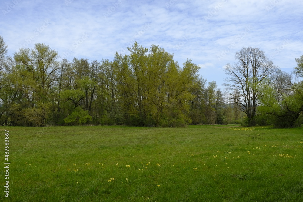 Altmain bei Sand am Main im Naturschutzgebiet Mainaue bei Augsfeld, Stadt Haßfurt, Landkreis Hassberge, Unterfranken, Franken, Bayern, Deutschland Altmain bei Sand am Main im Naturschutzgebiet Mainaue bei Augsfeld, Stadt Haßfurt, Landkreis Hassberge, Unterfranken, Franken, Bayern, Deutschland