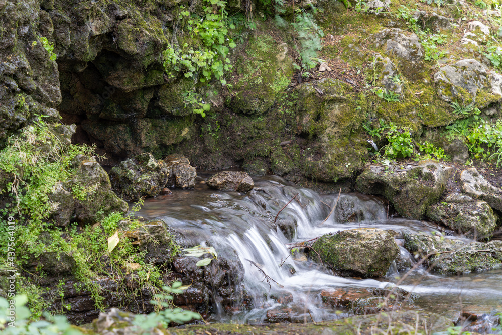 Fototapeta premium Water flowing along the stones covered with moss in the middle of nature, in spring