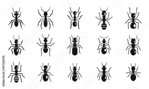 Cute ant icons set, simple style