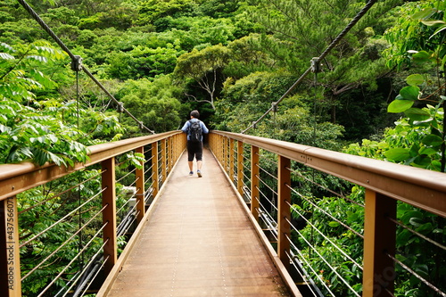 Man walking on wooden bridge at Yambaru National Park in Okinawa, Japan - 沖縄 やんばる国立公園 橋を渡る男性 photo