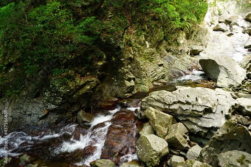 creek and rocky road at Yambaru National Park in Okinawa, Japan - 沖縄 やんばる国立公園 川 photo