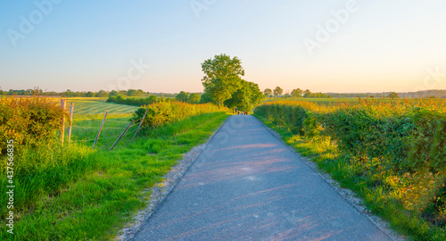 Sundown over fields and trees in a green hilly grassy landscape under a colorful sky in sunlight in springtime  Voeren  Limburg  Belgium  June  2021