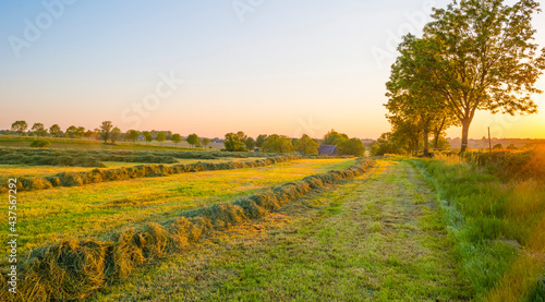 Fototapeta Naklejka Na Ścianę i Meble -  Sundown over fields and trees in a green hilly grassy landscape under a colorful sky in sunlight in springtime, Voeren, Limburg, Belgium, June, 2021