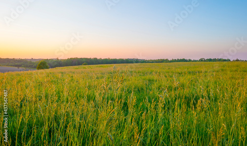 Sundown over fields and trees in a green hilly grassy landscape under a colorful sky in sunlight in springtime, Voeren, Limburg, Belgium, June, 2021