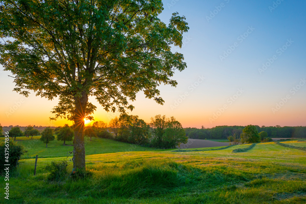 Sundown over fields and trees in a green hilly grassy landscape under a colorful sky in sunlight in springtime, Voeren, Limburg, Belgium, June, 2021 Sundown over fields and trees in a green hilly grassy landscape under a colorful sky in sunlight in springtime, Voeren, Limburg, Belgium, June, 2021