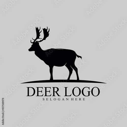 Deer head creative design logo vector. Deer illustration