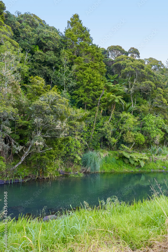 River at Auckland Region River at Auckland Region