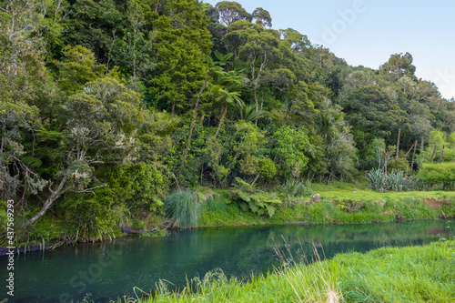 River at Auckland Region photo