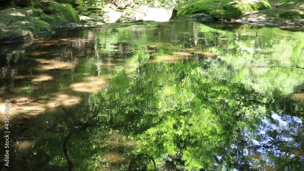 透明で澄んだ水の流れ(三重県名張市) 透明で澄んだ水の流れ(三重県名張市)