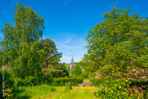Trees and an old church in sunlight and shadow in green woodland in springtime, Voeren, Limburg, Belgium, June, 2021