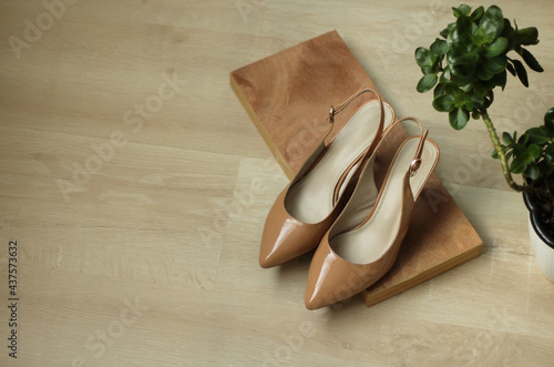 Fashionable beige slingback stand on the floor photo