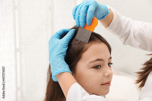 Doctor using nit comb on little girl's hair indoors. Anti lice treatment photo