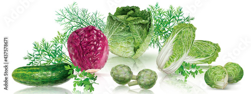 Composition of fresh cabbages and cucumber, artichokes on a transparent background. Mesh vector illustration