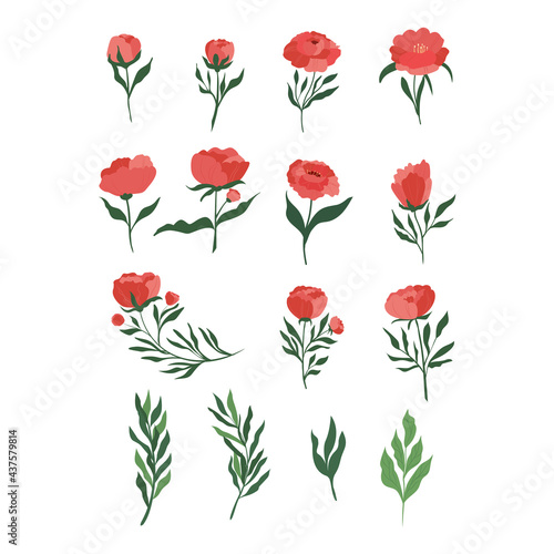 Set of individual elements flowers peonies. Logo element, design element for cards, invitations, business cards. Vector color illustration.