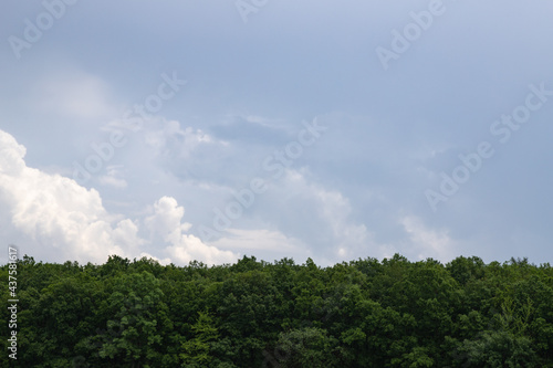 Fototapeta clouds in the sky above green treetops