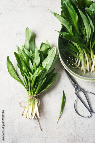 Fresh leaves of wild garlic