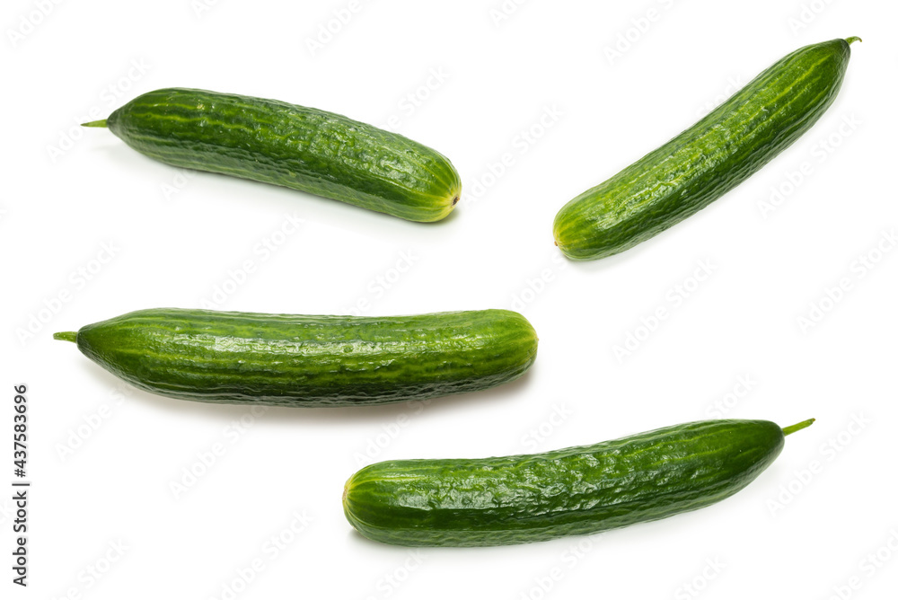 Cucumber isolated on white background. Cucumber isolated on white background.