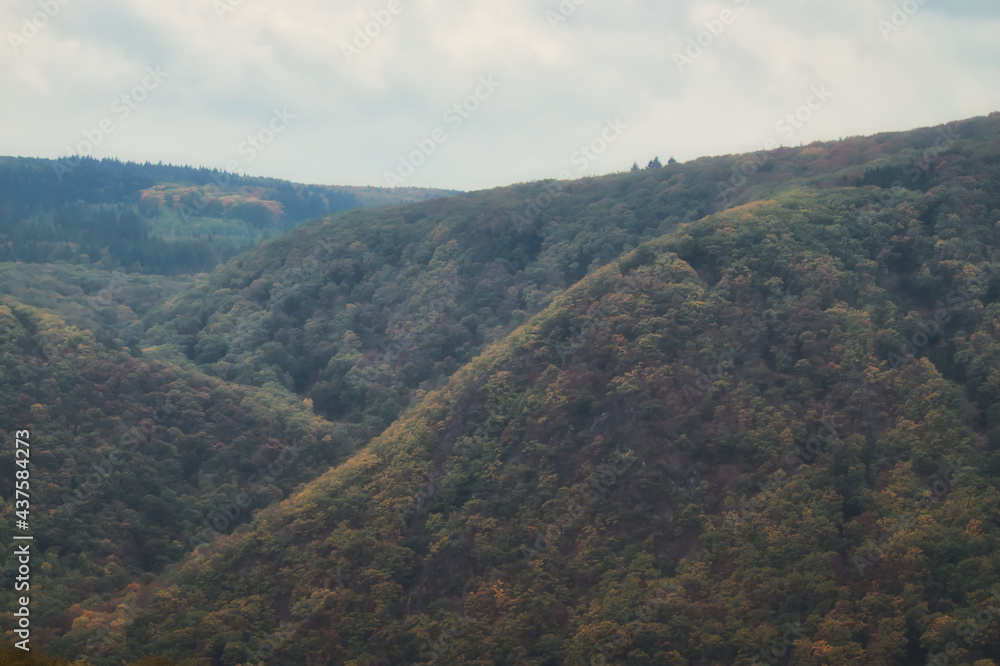 Fototapeta premium Yellow line running down a hill in the Rhine valley of Germany on a fall day.