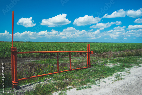 An orange gate against a bright blue sky with beautiful puffy white clouds overlooking a massive sugar cane field in central florida. photo