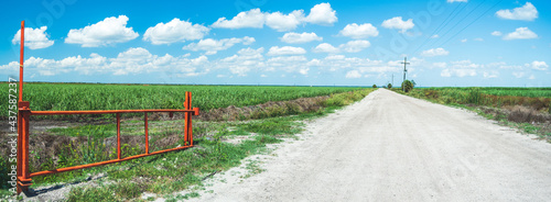 An orange gate against a bright blue sky w beautiful puffy white clouds overlooking a massive sugar cane field in florida, a contributor to red tide photo