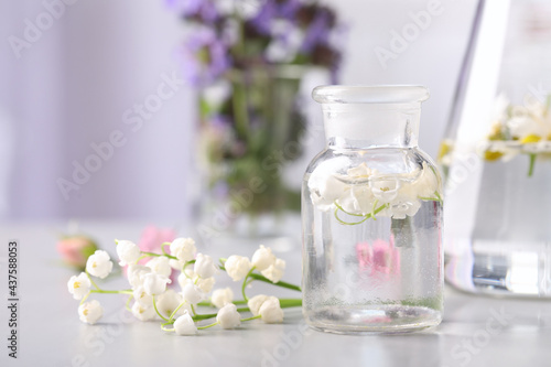 Laboratory glassware with different flowers on light table. Essential oil extraction