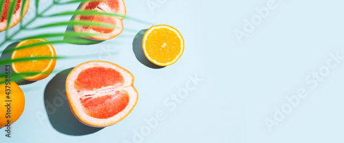 citrus fruits  oranges  grapefruit and palm leaf on a blue background. Top view  flat lay. Banner