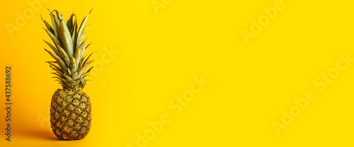 Fresh ripe whole yellow pineapple on a yellow background. Banner