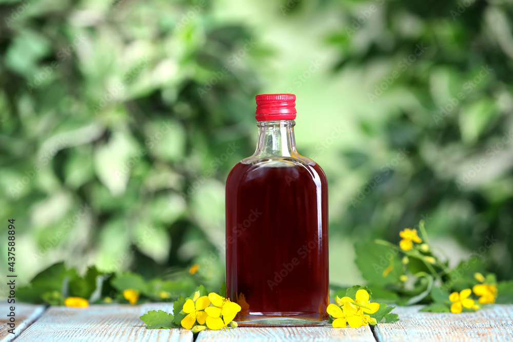 Bottle of celandine tincture and plant on white wooden table outdoors Bottle of celandine tincture and plant on white wooden table outdoors
