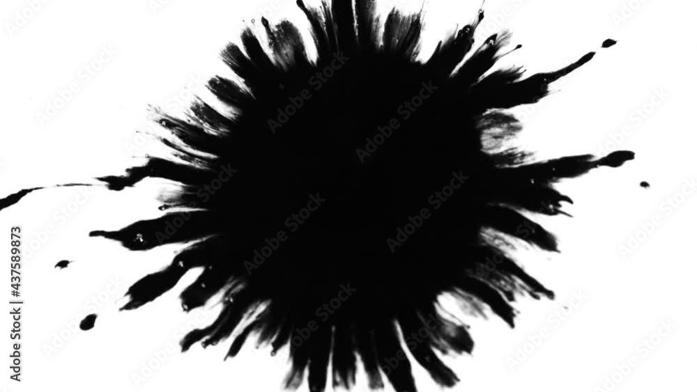 Super Slow Motion Shot of Black Ink Drop Isolated on White Background at 1000 fps. Super Slow Motion Shot of Black Ink Drop Isolated on White Background at 1000 fps.