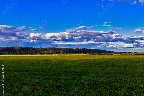 meadow and hills with a coniferous forest in the distance