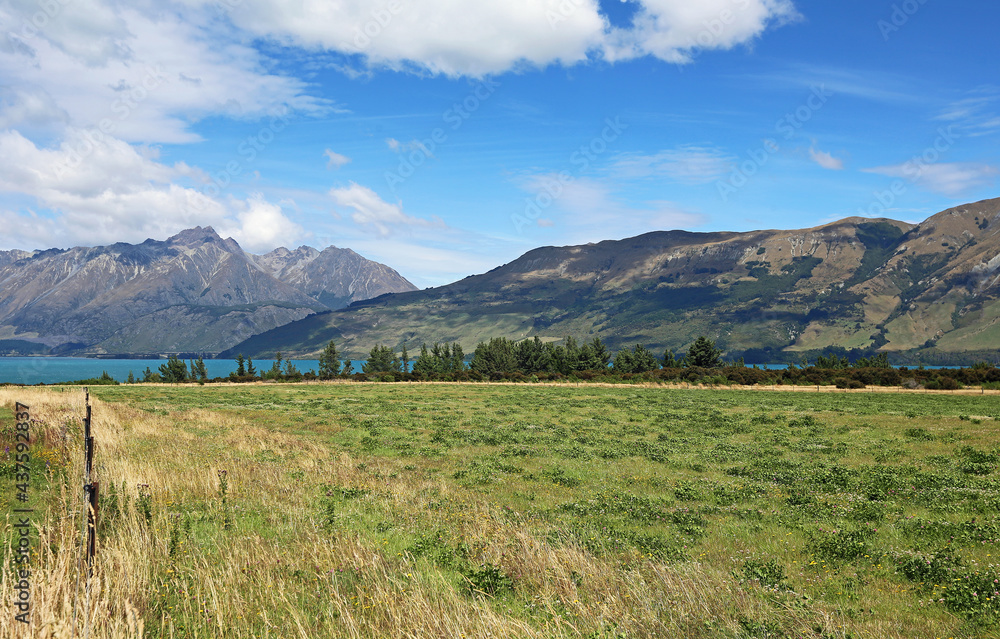 Pasture on Lake Wakatipu - New Zealand