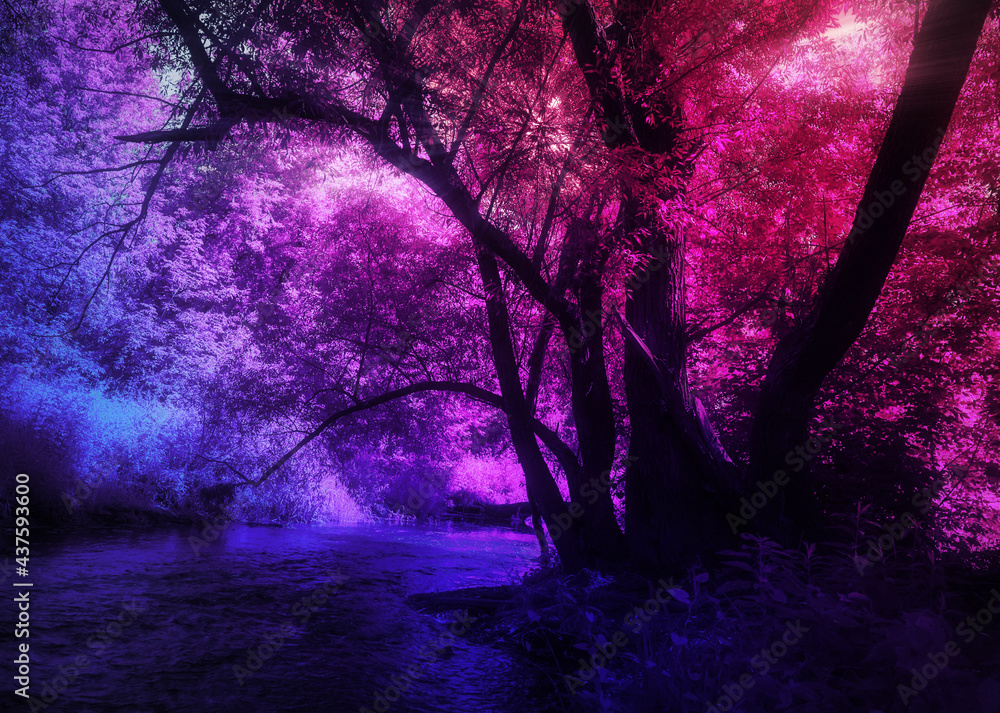 Fantasy purple forest and river