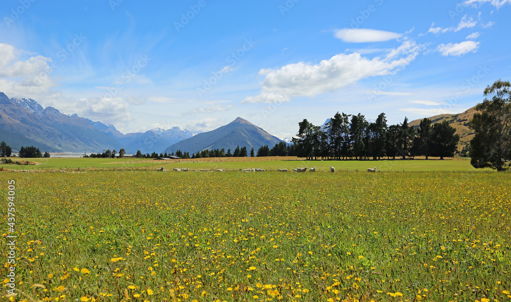 Romantic pasture in Southern Alps - New Zealand
