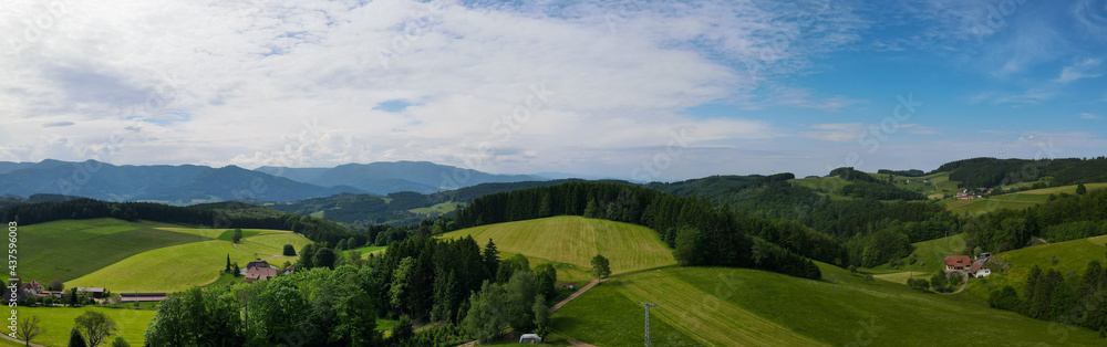Fototapeta premium Schwarzwald bei Biederbach