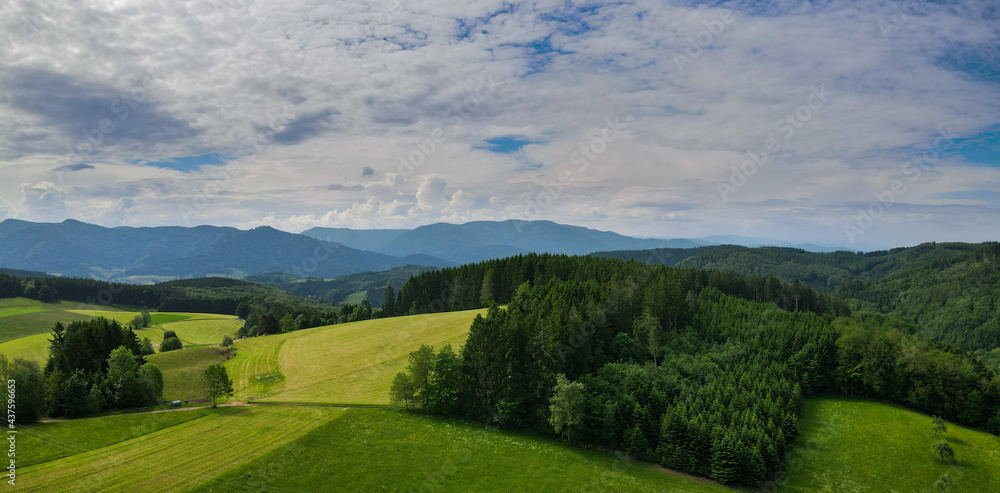 Schwarzwald bei Biederbach