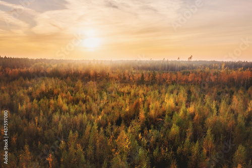 Large panoramic autumn landscape at sunset aerial view