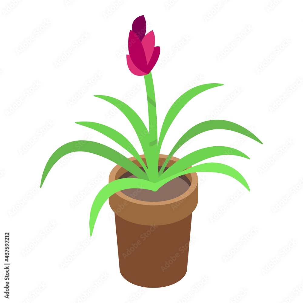 Room flower pot icon. Isometric of Room flower pot vector icon for web design isolated on white background Room flower pot icon. Isometric of Room flower pot vector icon for web design isolated on white background