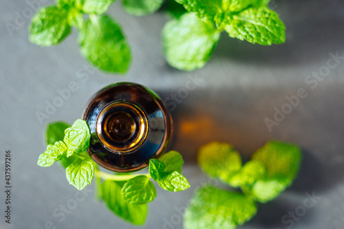Mint or peppermint essential oil in a glass bottle used as an alternative medicine in aromatherapy or diluted in a carrier oil directly on skin