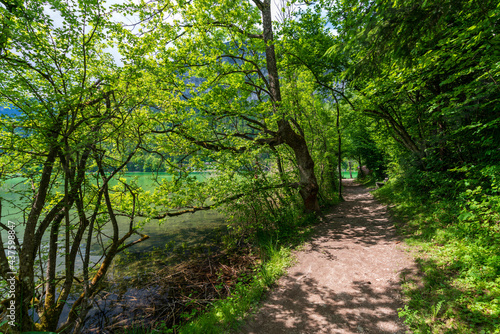 Wanderweg am Reintaler See bei Kramsach in Tirol   sterreich