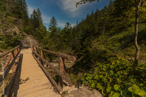 Wooden Bridge in the Mountain Forest. Mountain Covered by Trees on the Background of Blue Sky. Summer Countryside Landscape. Taras Mountains  Poland. White Valley.