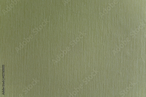 Light Olive Green texture and surface background