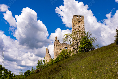 Burgruine Niederhaus photo