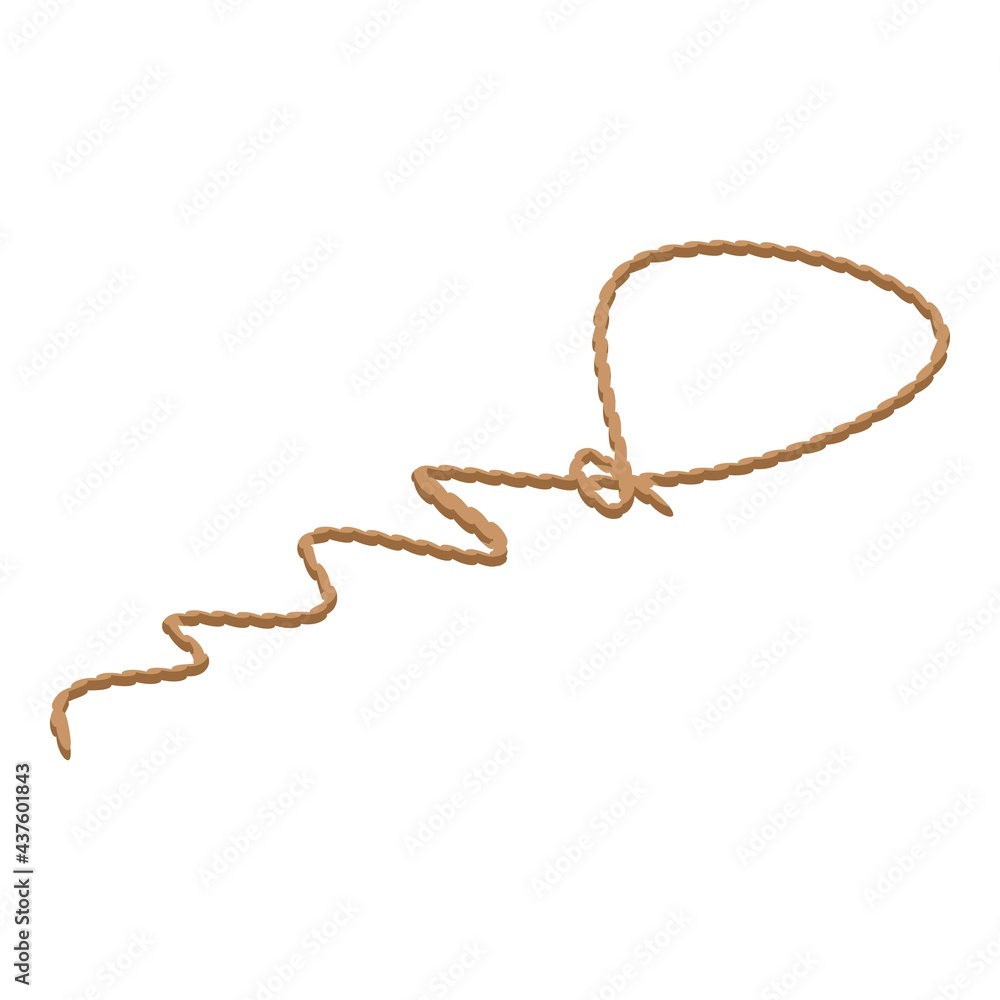 Lasso icon. Isometric of Lasso vector icon for web design isolated on white background Lasso icon. Isometric of Lasso vector icon for web design isolated on white background