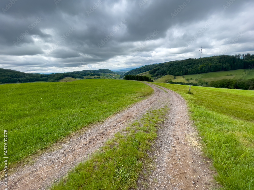 Schwarzwald bei Biederbach