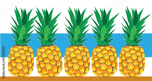 Set of whole pineapples. Great vector illustration.