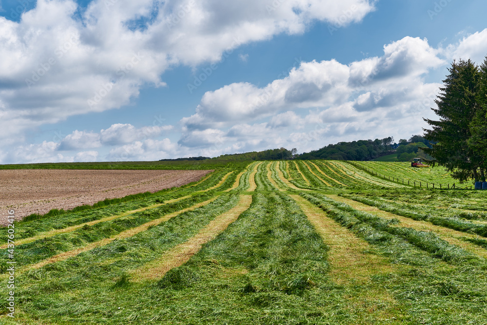 Farmer producing hay, great landscape