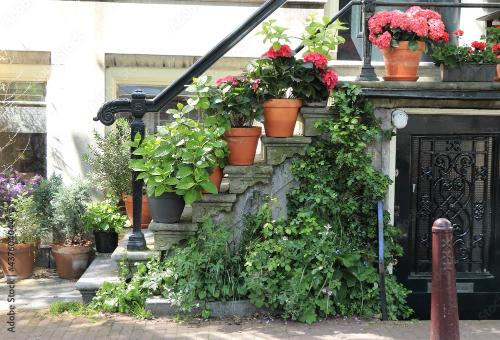 Amsterdam Canal House Entrance Steps with Plants and Flowers in Pots