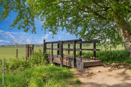 Fairy Footpaths at Fullerton Park and an Old Wooden Bridge Near Troon in Scotland.